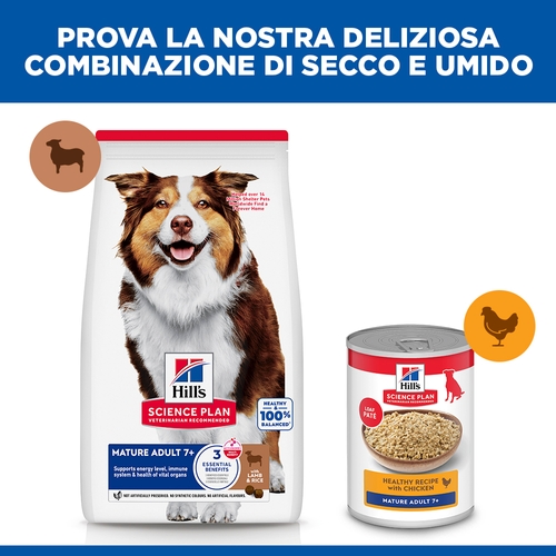 Hill's Science Plan - Medium - Mature Adult 7+ - Agnello e Riso
