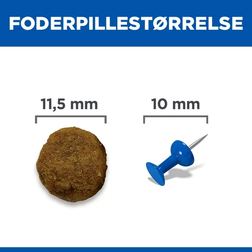 Hill's Science Plan Medium - Adult - Lam & Ris