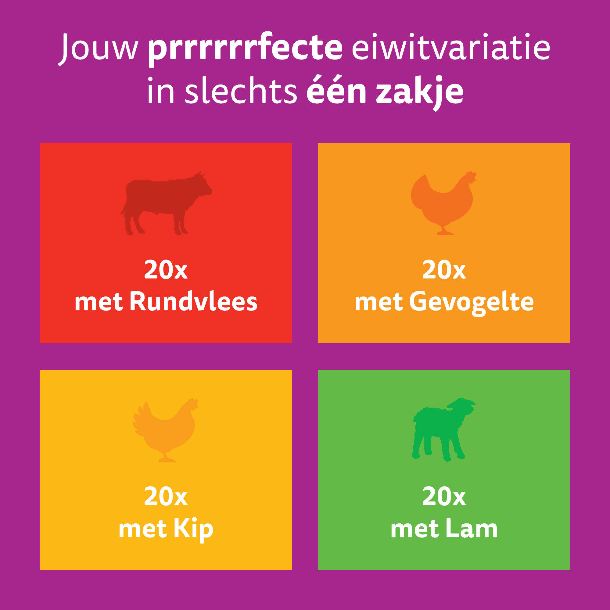 Whiskas 1+ Selectie - Multipacks