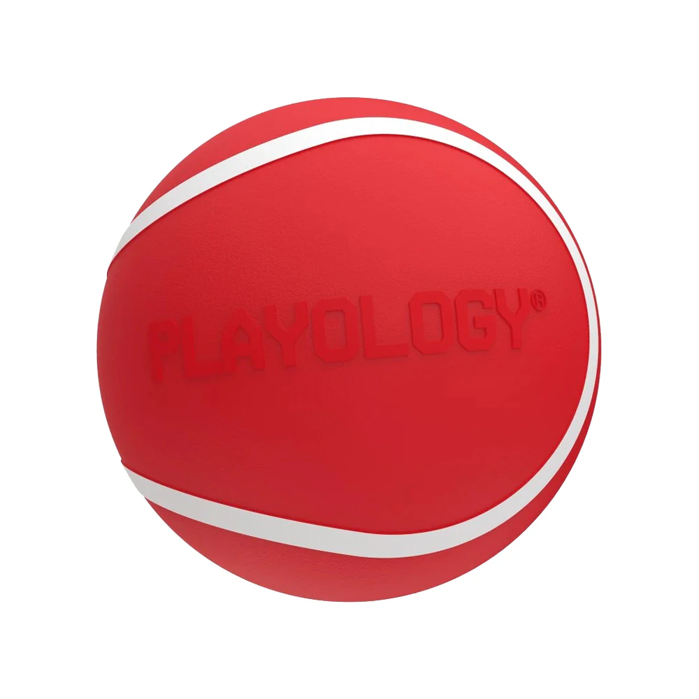 Playology Squeaky Chew Ball