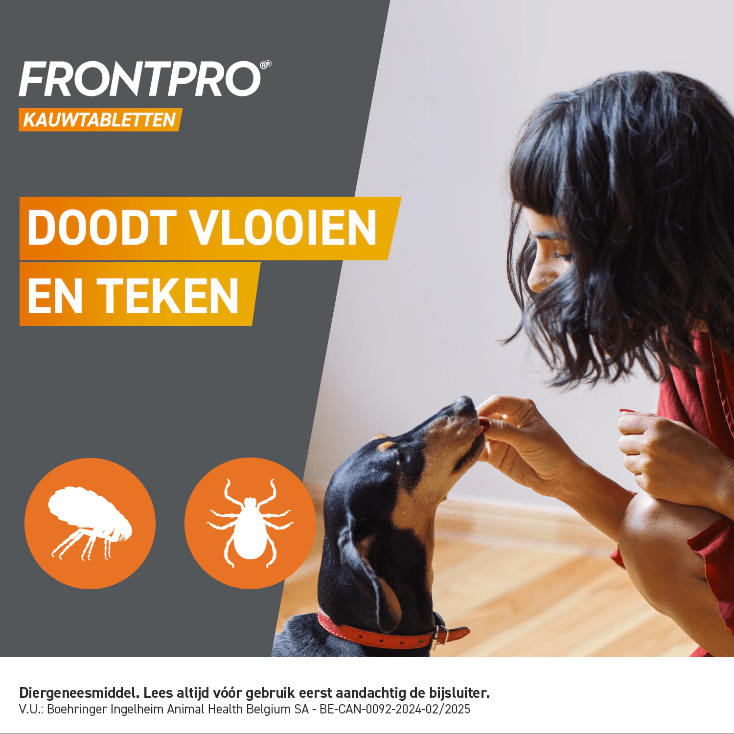 FRONTPRO Kauwtabletten Hond