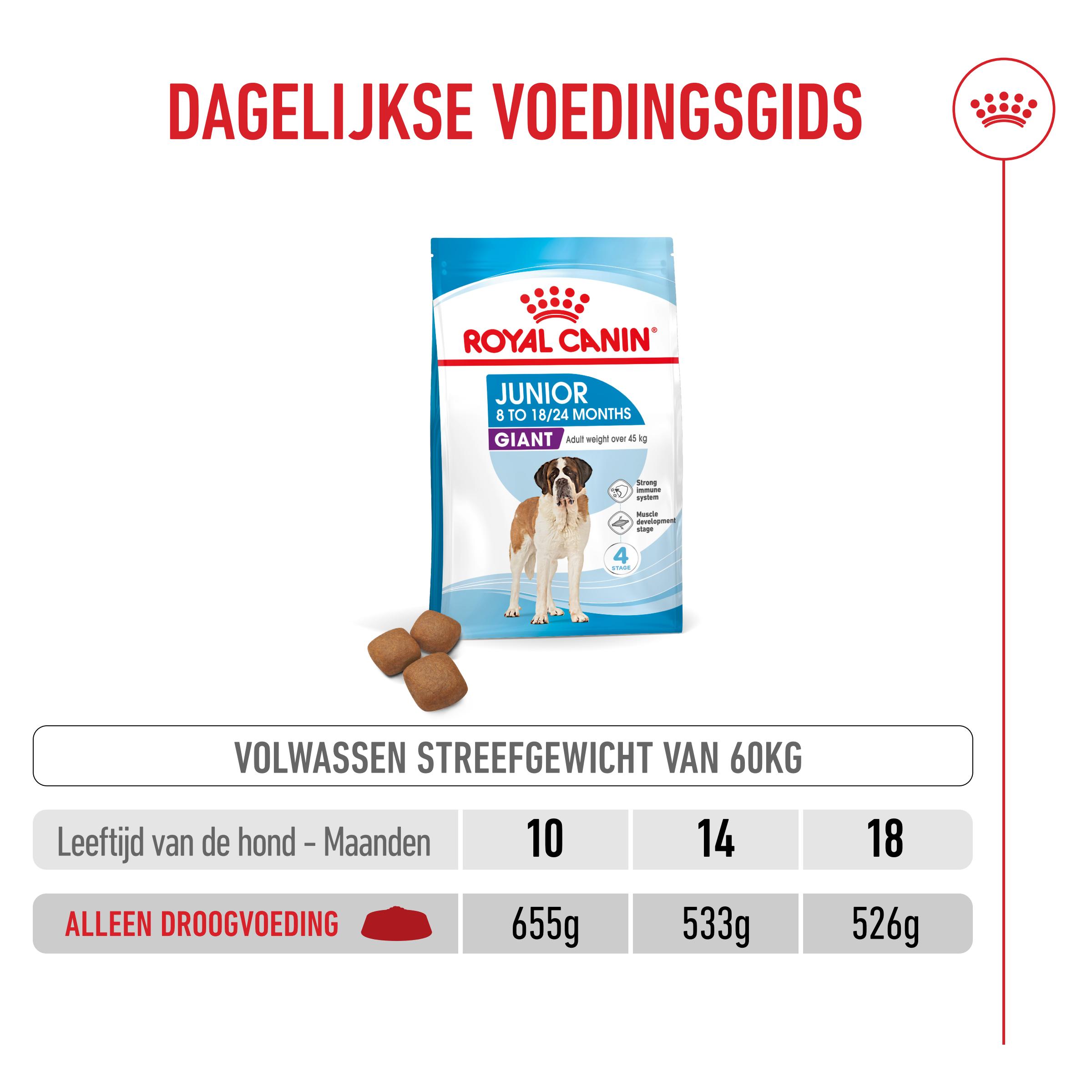 Royal Canin Giant Junior - Hondenvoer