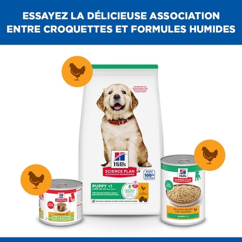 Hill's Science Plan - Large Breed - Puppy - Poulet