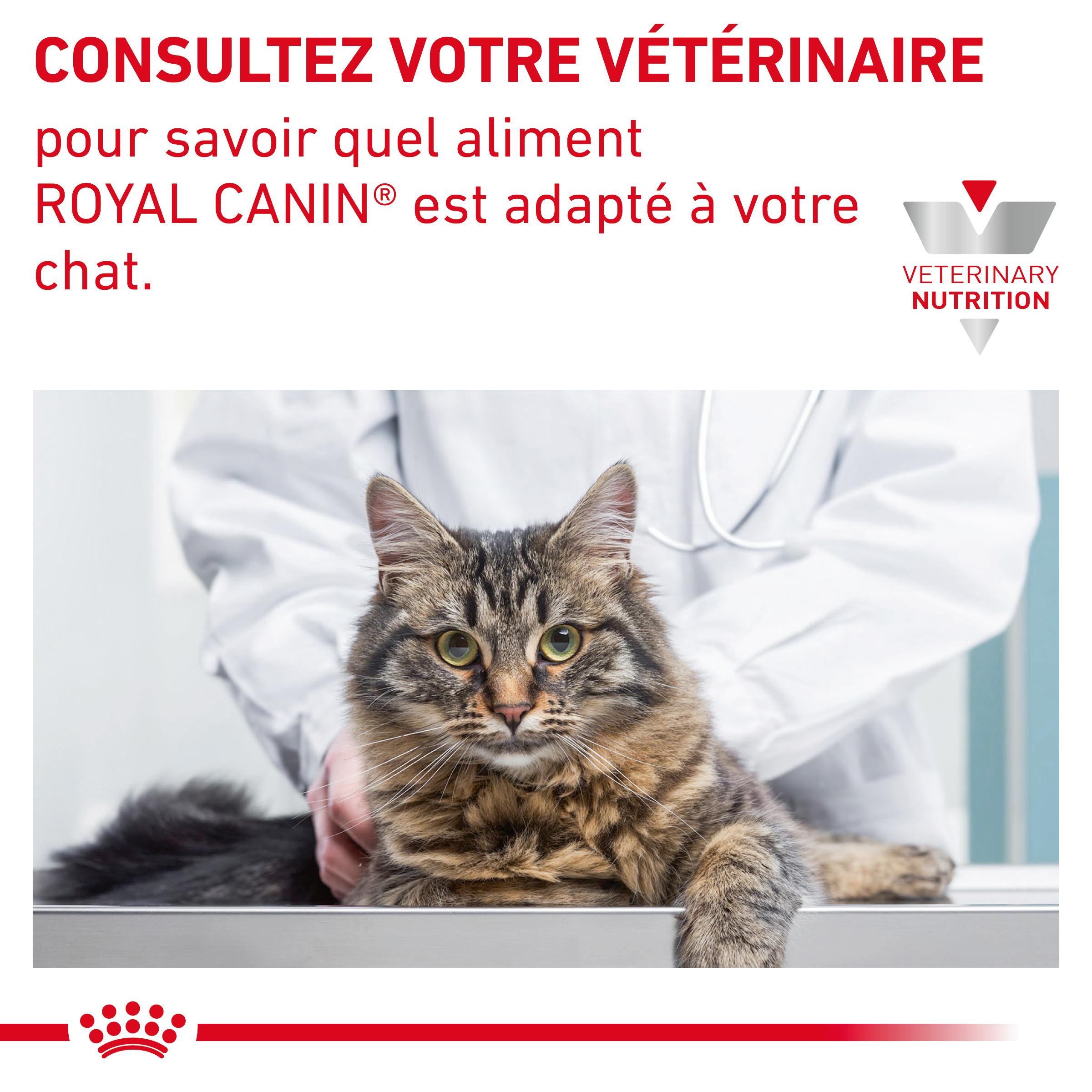 Royal Canin Skin & Coat