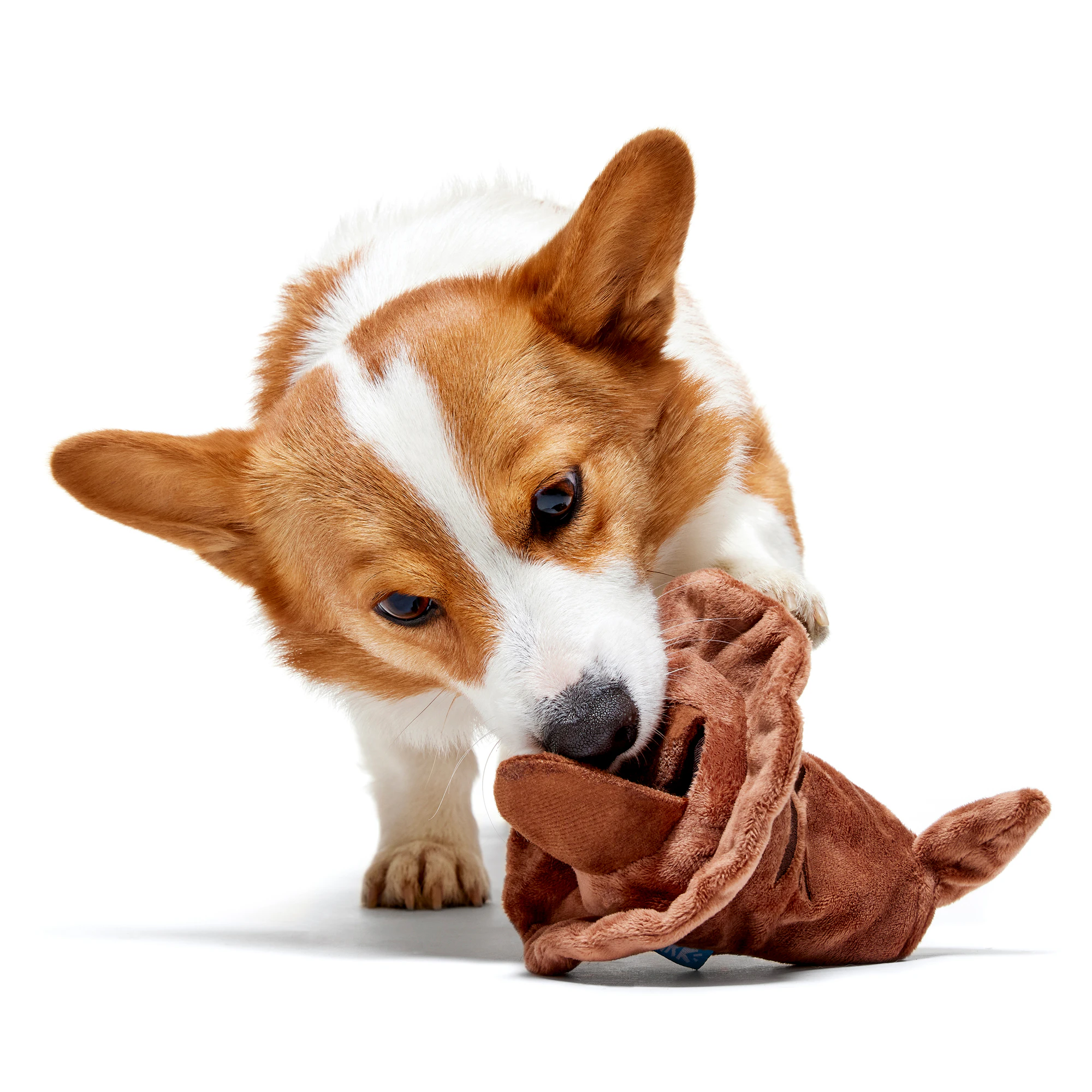 Bark Harry Potter Sorting Hat Knuffel met Bal