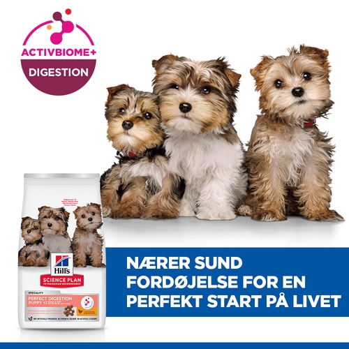 Hill's Science Plan Puppy Perfect Digestion Small and Mini Hundefoder