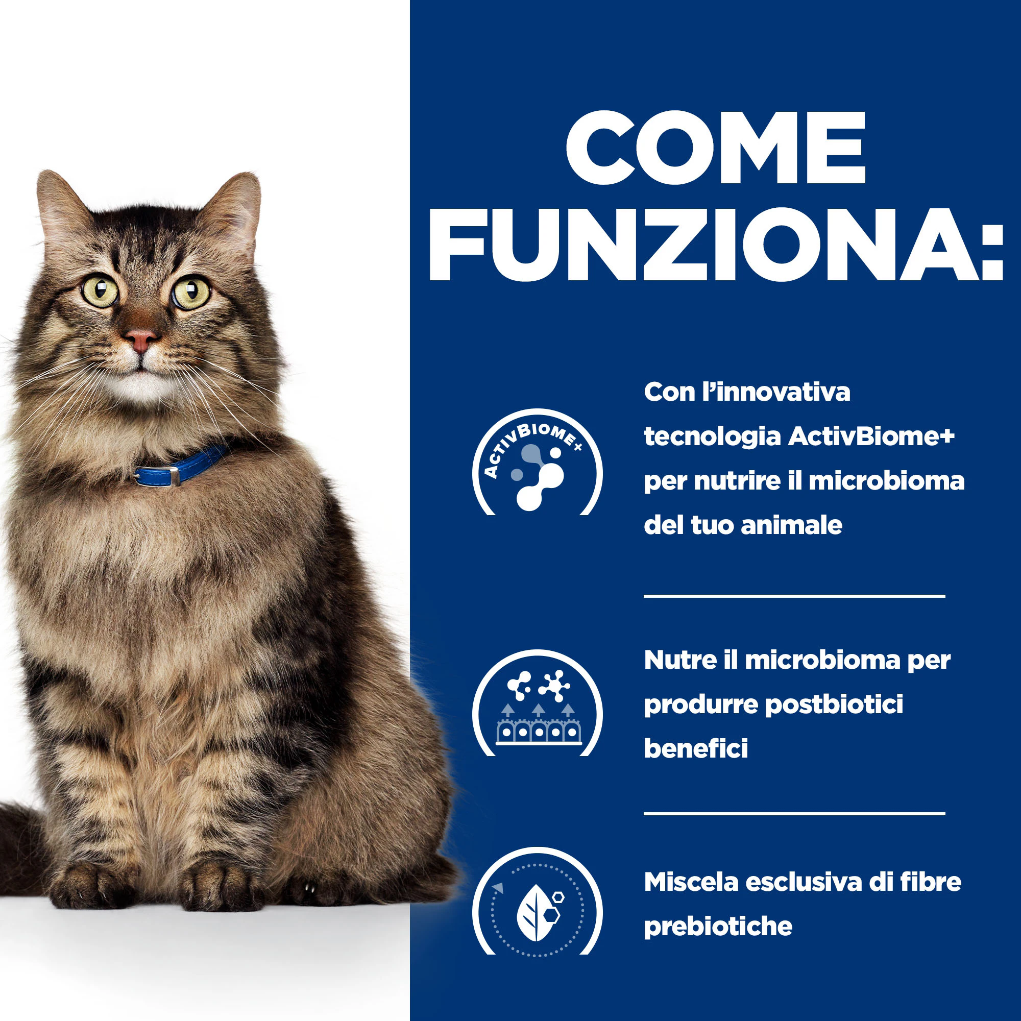 Hill's Prescription Diet - Gastrointestinal Biome - Feline - Cibo Umido
