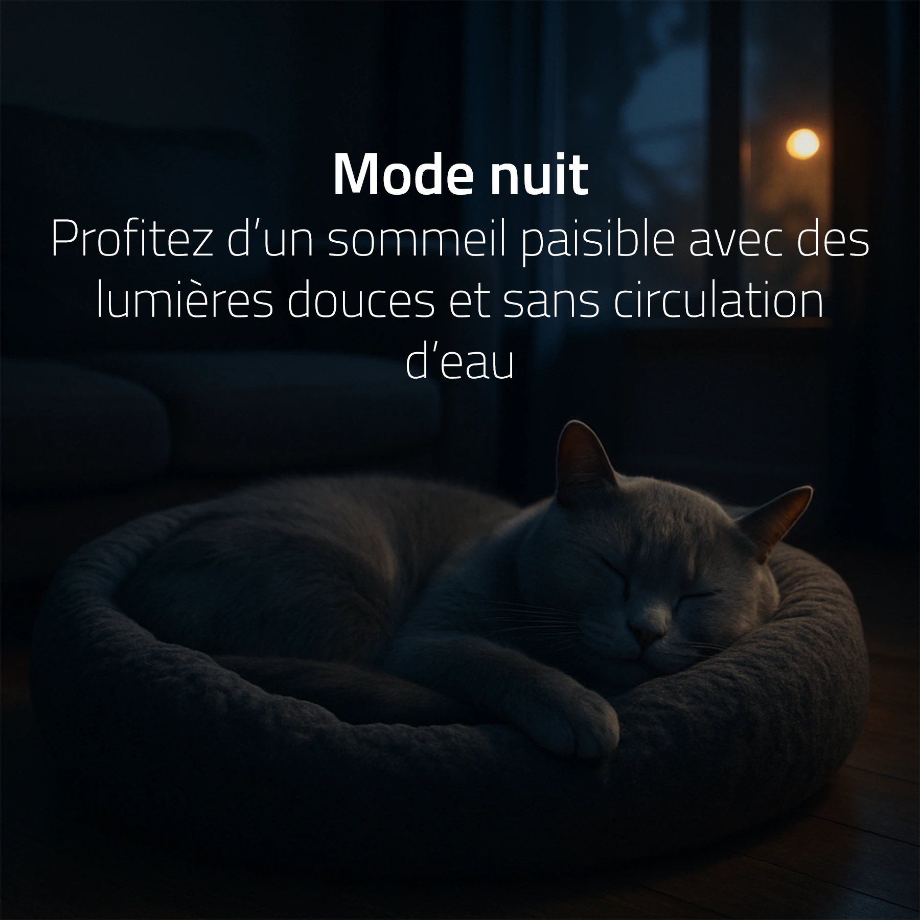 Hombli Smart Fontaine à Boisson