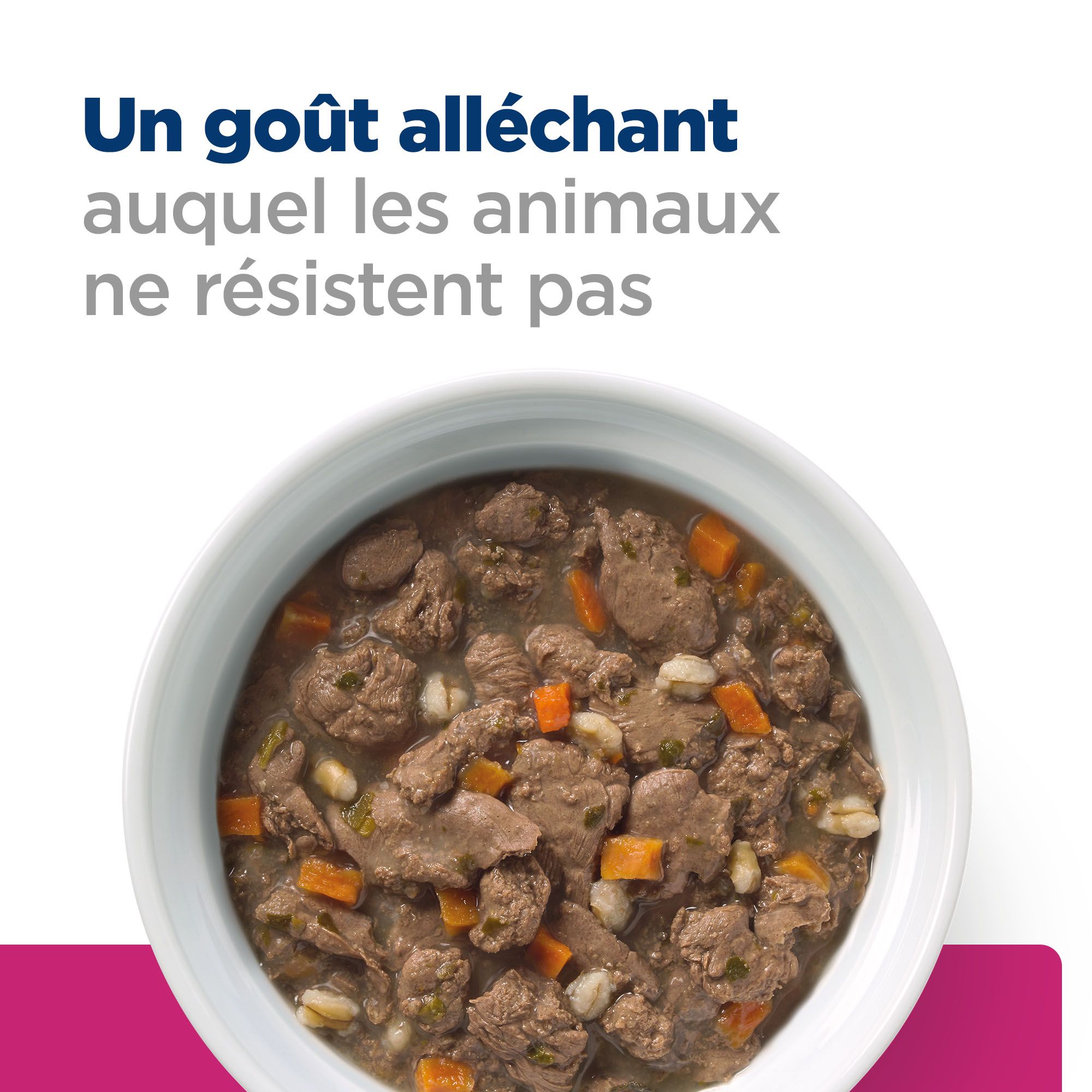 Hill's Prescription Diet - Gastrointestinal Biome - Aliment pour Chat - Mijoté