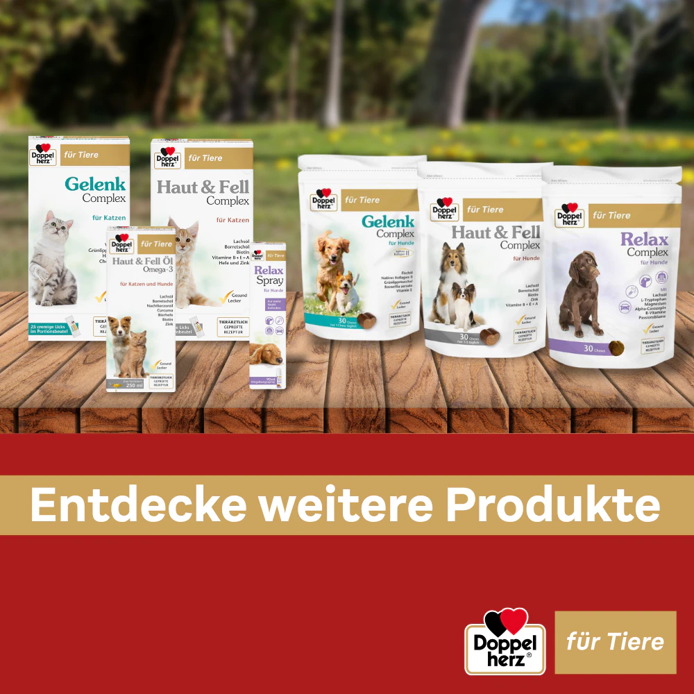 Doppelherz Haut & Fell Öl Omega-3 für Katzen und Hunde