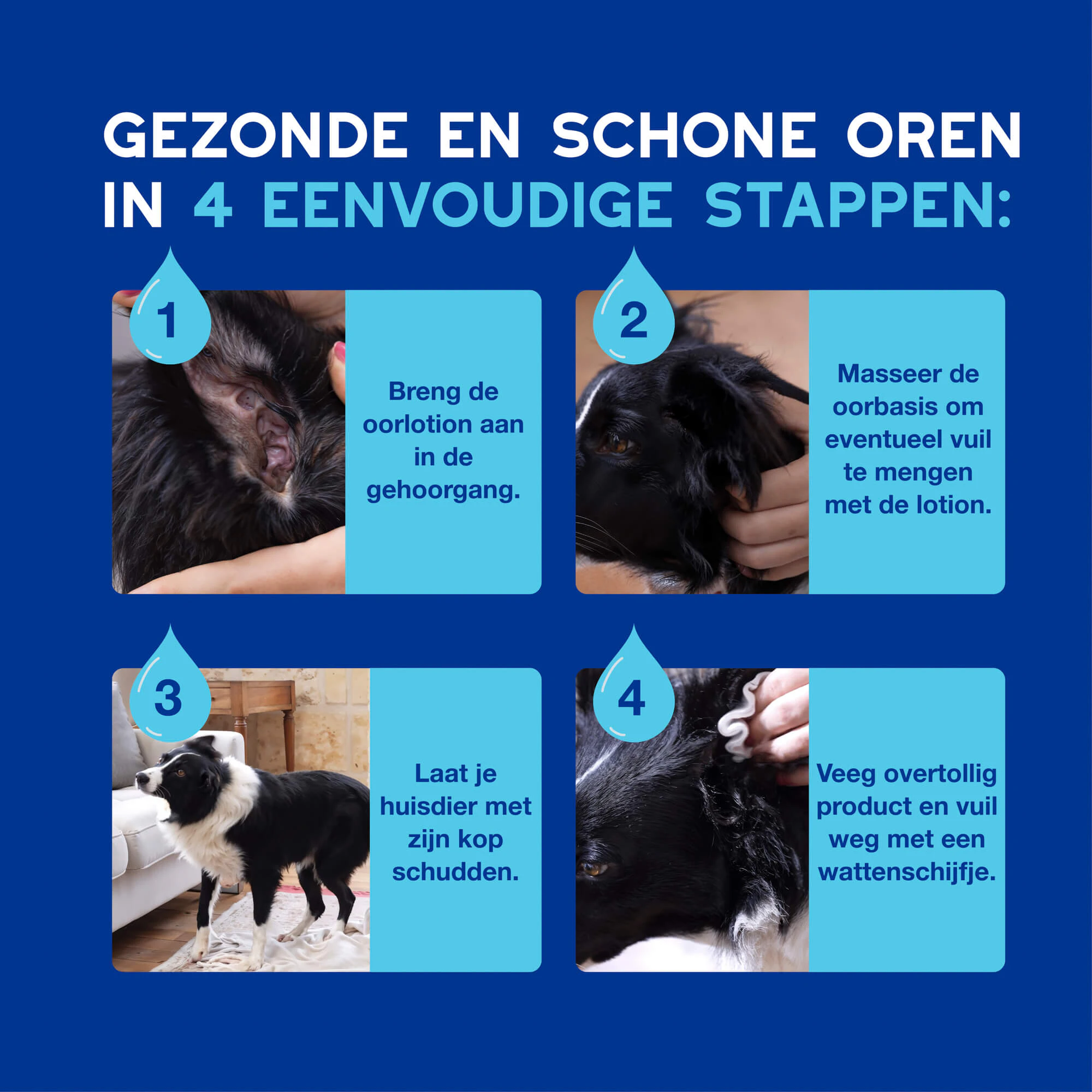 Douxo Spa Oorreiniger