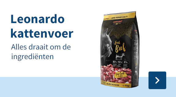 https://www.medpets.be/leonardo