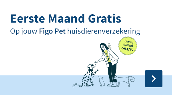 https://www.medpets.nl/figo