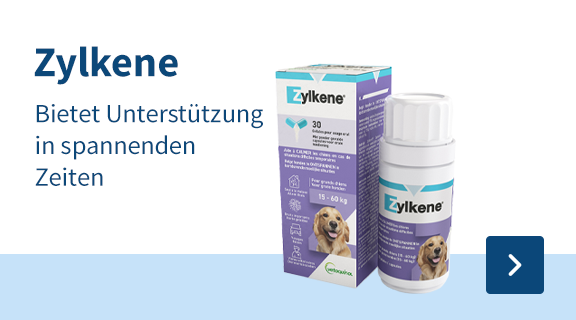 https://www.medpets.at/zylkene-stress