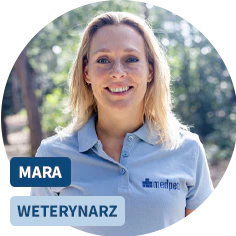 Weterynarz