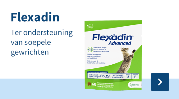 Flexadin, ter ondersteuning van soepele gewrichten 