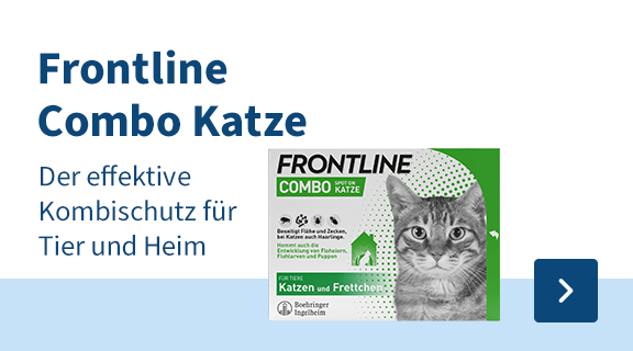 Categoriebanner Frontline kat