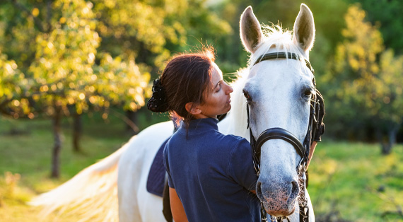 alles voor de gezondheid van je paard