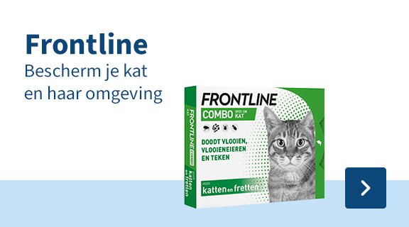 Frontline
