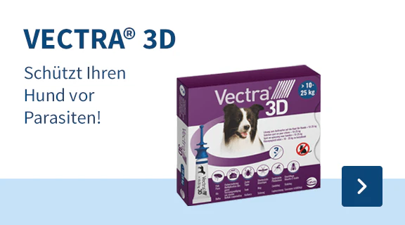 Vectra Categoriebanner