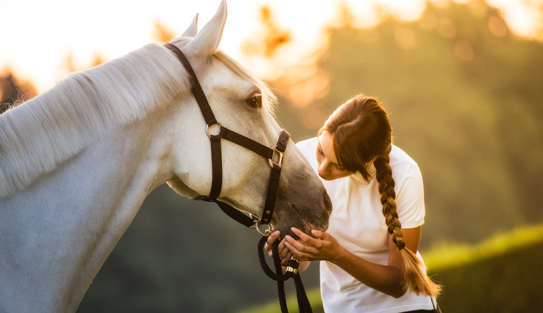 Vrouw houdt paard vast