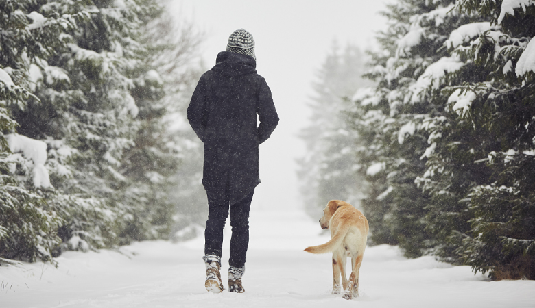 Hond en man lopen door sneeuw