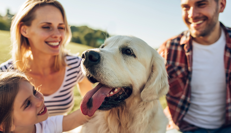 dog with family