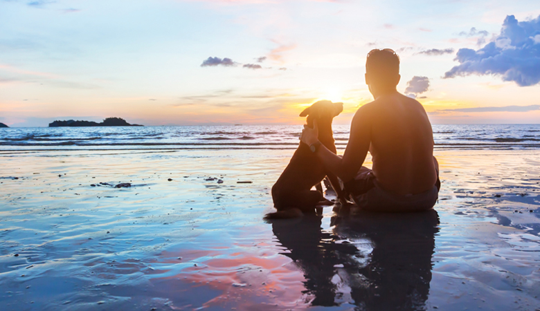 Hund am Meer