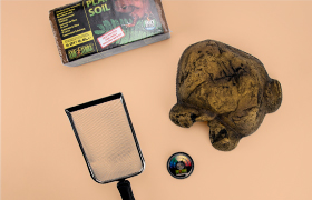 Accessoires pour reptiles