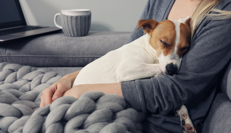 Hond knuffelt met vrouw