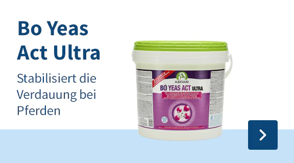 Audevard Bo Yeas Act Ultra