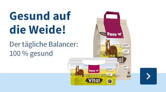 Gesund auf die Weide! Der tägliche balancer: 100 % Gesund