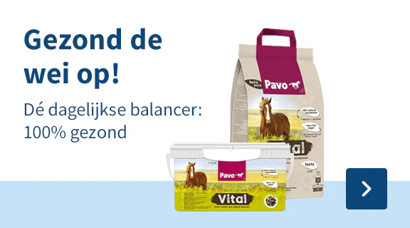 Gezond de wei op! Dé dagelijkse balancer: 100% gezond