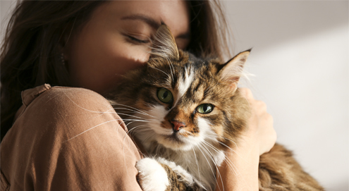 girl cuddles cats