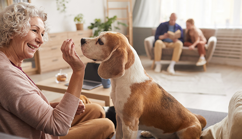 Vrouw houdt tablet voor neus hond