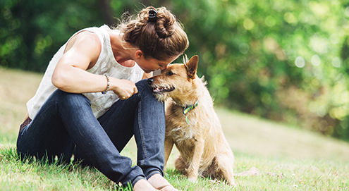 Frau sitzt auf einer Wiese und kuschelt mit einem Hund