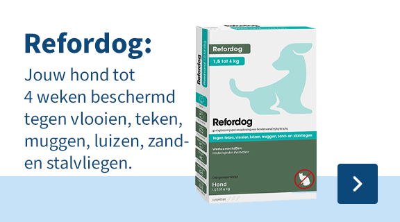 Refordog