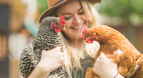 Vrouw knuffelt met twee kippen