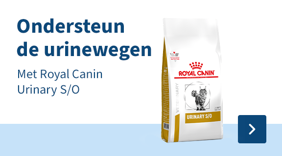 Ondersteun de urinewegen met royal canin urinary 