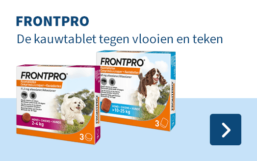 Frontpro