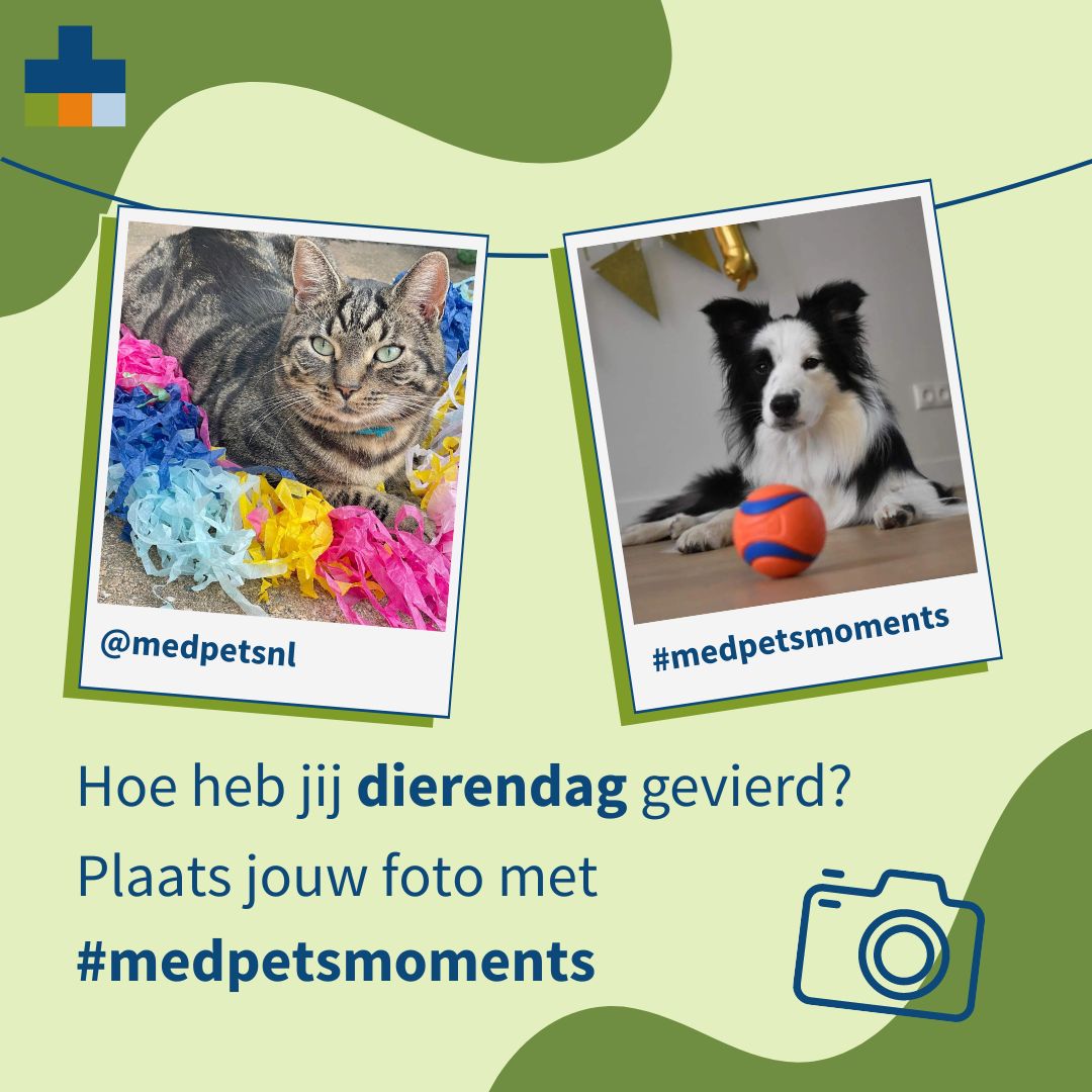 Medpets Dierendag