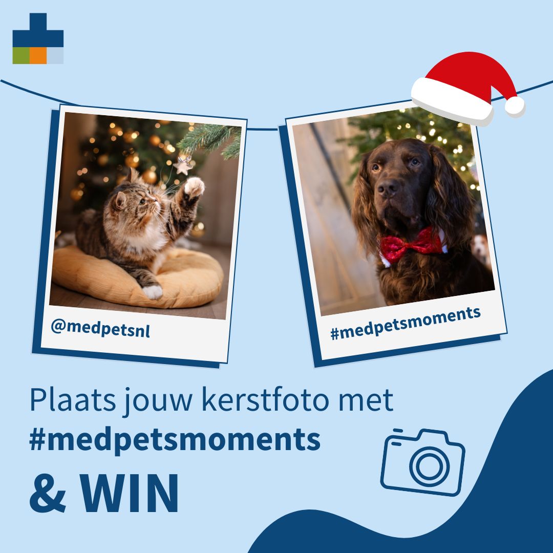 Medpets Kerst