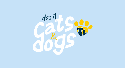 About Cats&Dogs