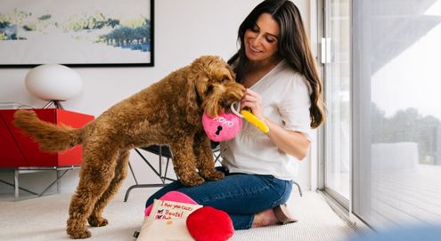 Hond en baasje spelen met elkaar