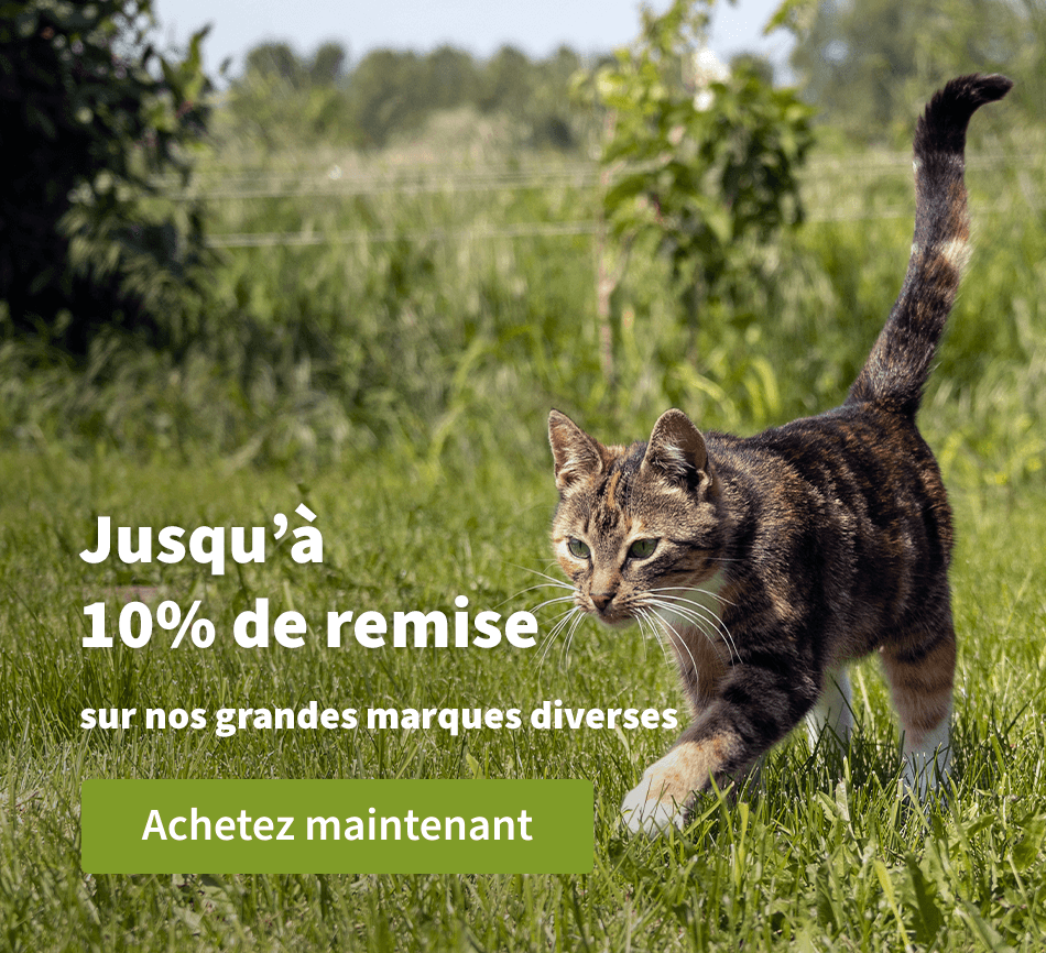 Jusqu'à 10% de remise sur nos grandes marques diverses