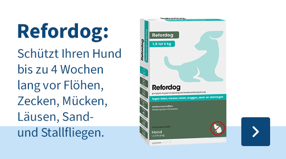 Refordog