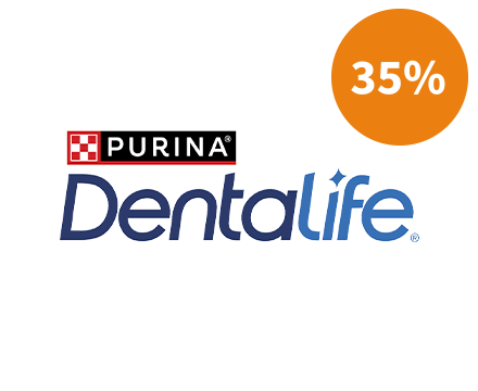 dentalife-35