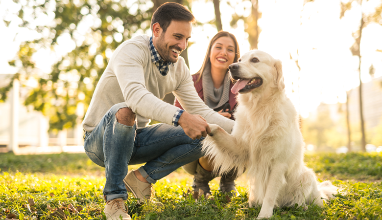 Mann, Frau und Hund im Wald