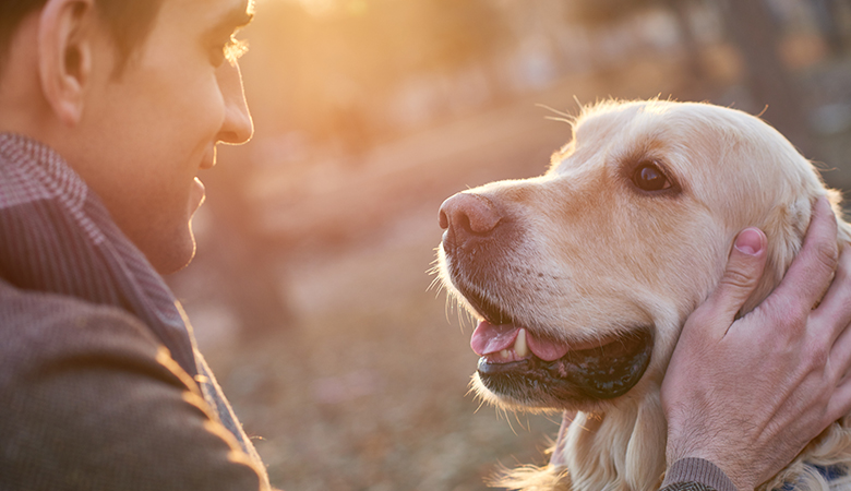 chien avec homme vacances