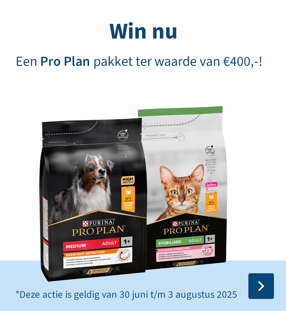Win nu - Een Pro Plan pakket te waarde van €400,-!